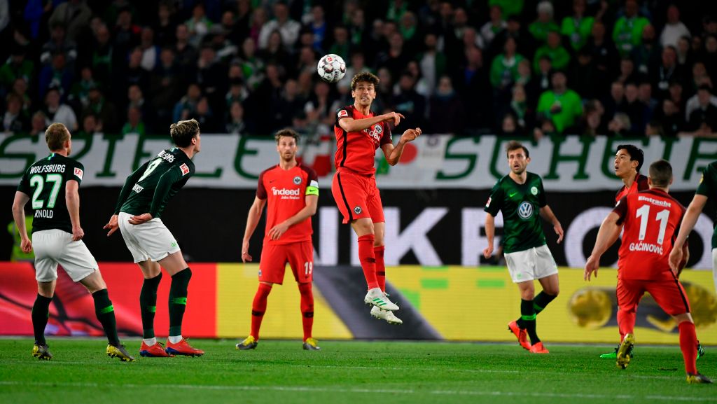 的多样化和 的多样化和